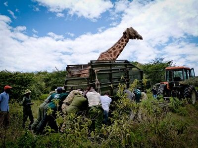 Wildlife Monitoring Program